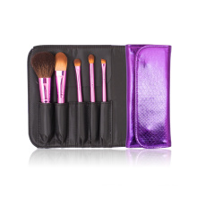 Shiny Color Travel Cosmetic Kit Makeup Brush Set